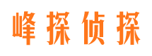 鲁山调查公司